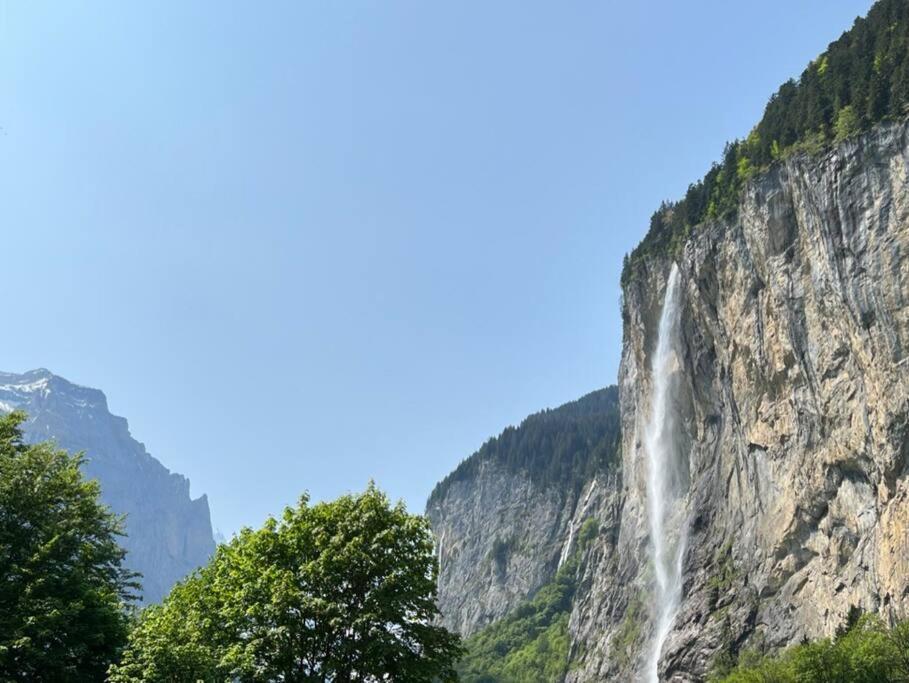 Chalet Maithili Lauterbrunnen -152-Year-Old Majestic Chalet Bagian luar foto