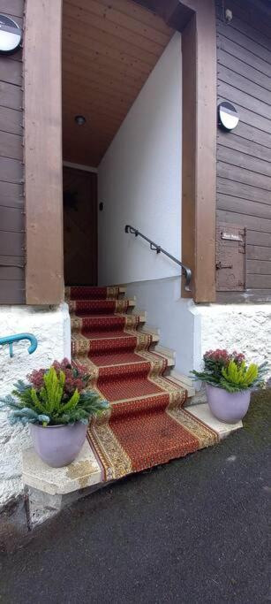 Chalet Maithili Lauterbrunnen -152-Year-Old Majestic Chalet Bagian luar foto